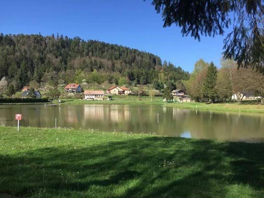 Leonie Villa Walscheid Exteriör bild
